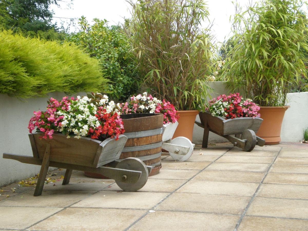 كريستتشيرش Shamrock Garden B&B Airport المظهر الخارجي الصورة