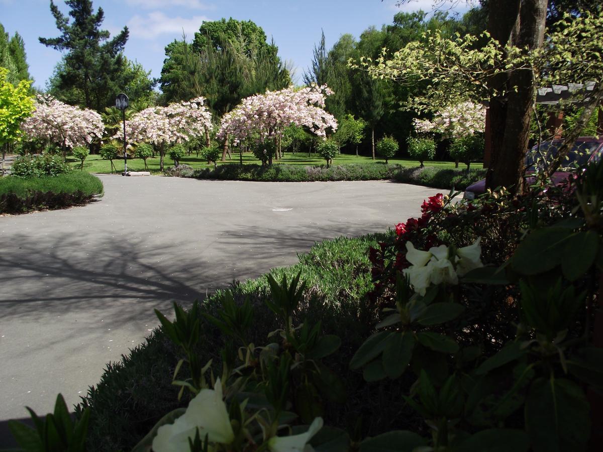 كريستتشيرش Shamrock Garden B&B Airport المظهر الخارجي الصورة