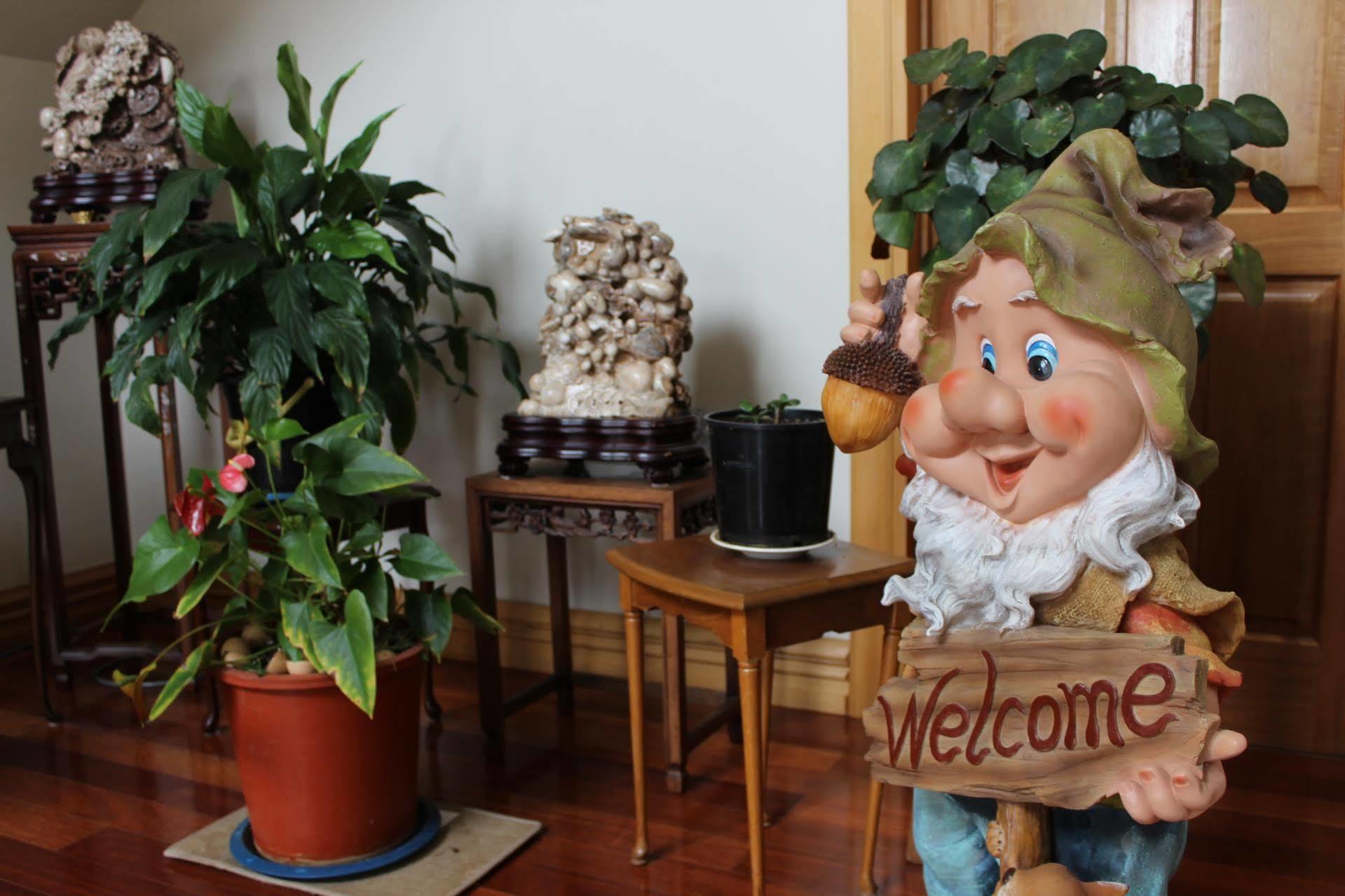 كريستتشيرش Shamrock Garden B&B Airport المظهر الخارجي الصورة